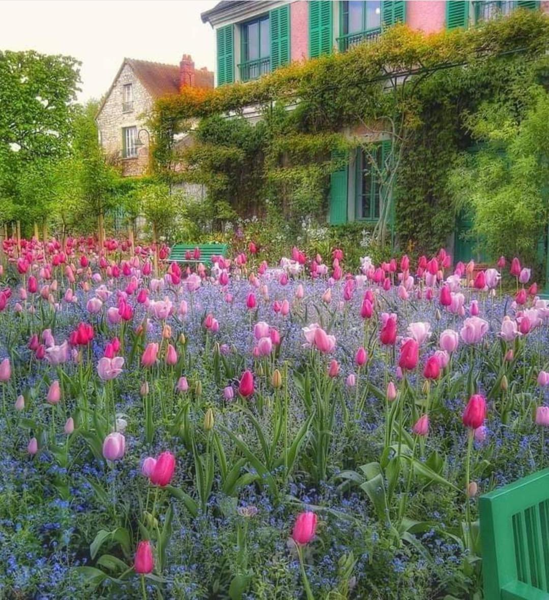 Forest Farm Bed & Breakfast Bois-Jerome-Saint-Ouen Exterior photo