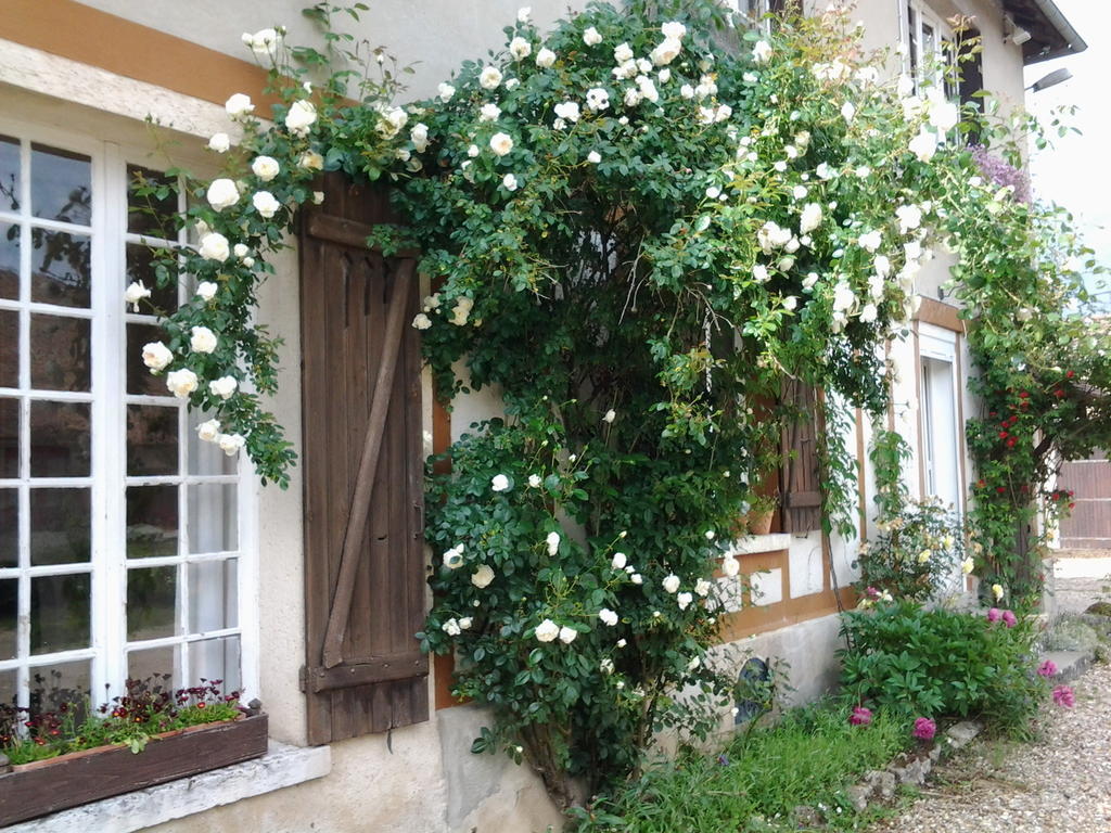 Forest Farm Bois-Jerome-Saint-Ouen Exterior photo