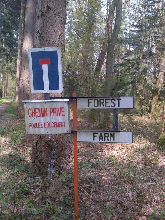 Forest Farm Bed & Breakfast Bois-Jerome-Saint-Ouen Room photo